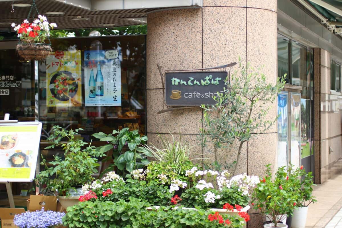 かんてんぱぱ 初台