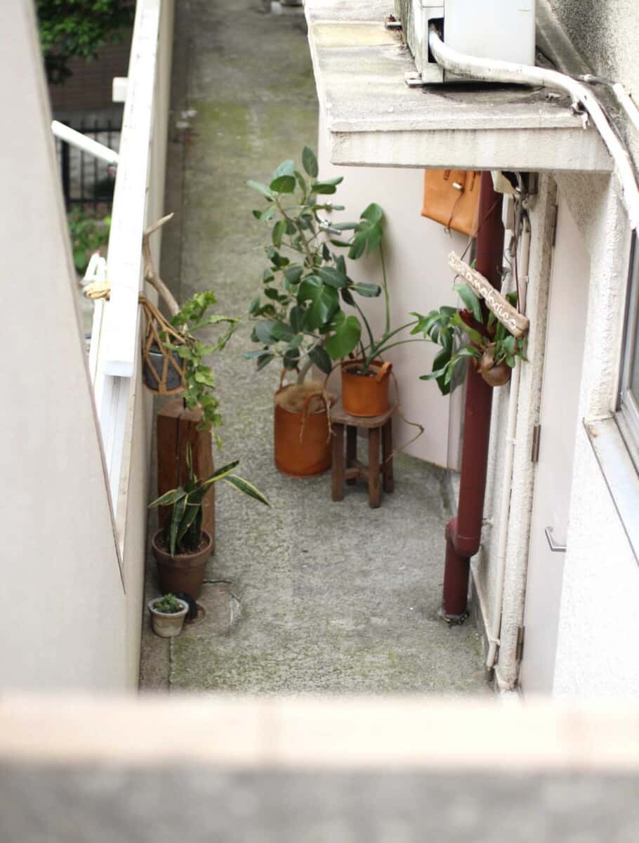 アナロジコ 入り口